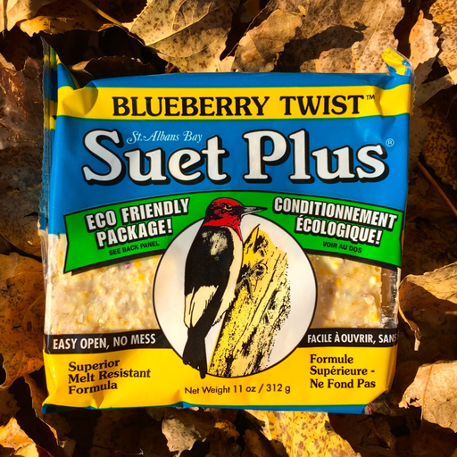 Suet Plus Blueberry Twist Suet Cake by Wildlife Sciences