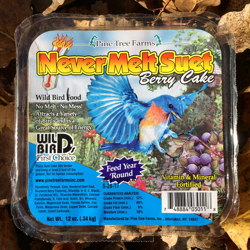 Never Melt Berry Suet Cake by Pine Tree Farms