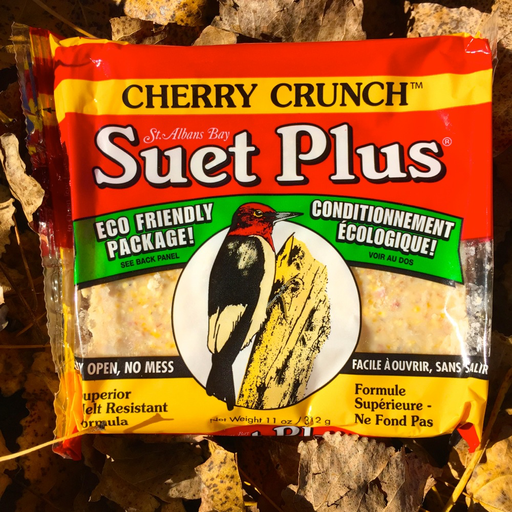 Suet Plus Cherry Crunch Suet Cake by Wildlife Sciences