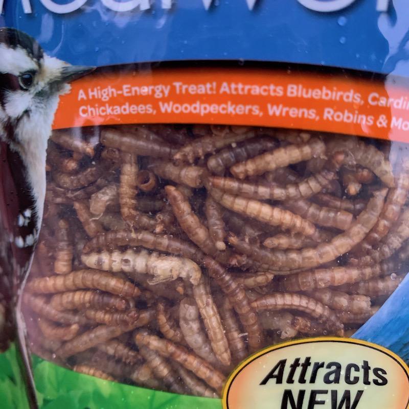 Kaytee 3.5oz Dried Mealworms