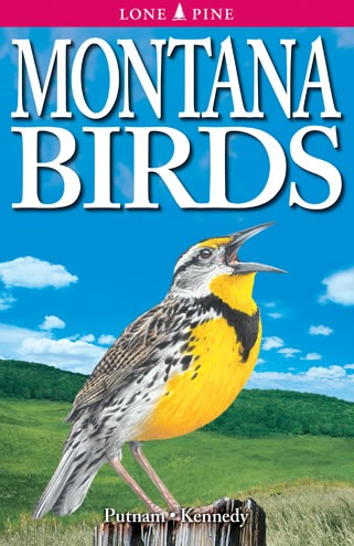 Montana Birds