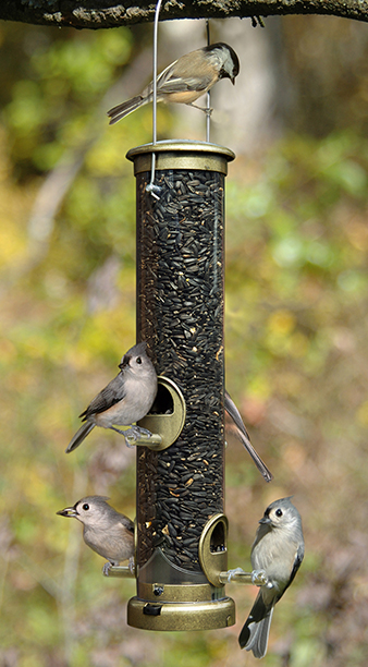 Aspects Medium Quick CleanSeed Feeder Antique Brass