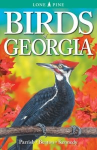 Birds of Georgia