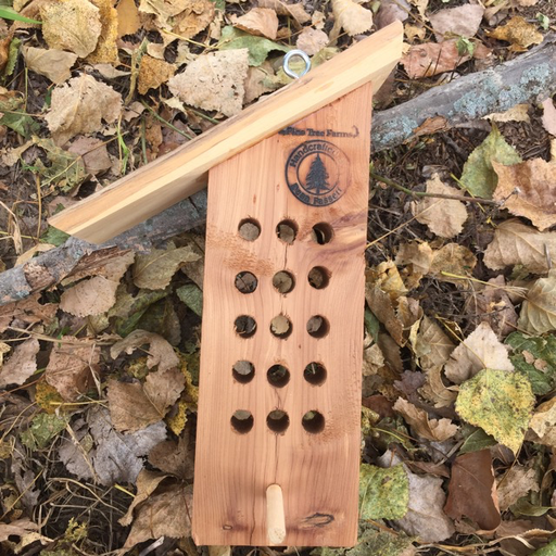 Pine Tree Farms Tree Icing Wood Feeder