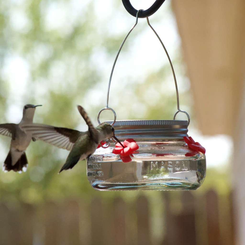 Nature's Way 6oz Clear Mason Jar Hummingbird Feeder