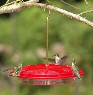 Aspects HummZinger Excel Hummingbird Feeder
