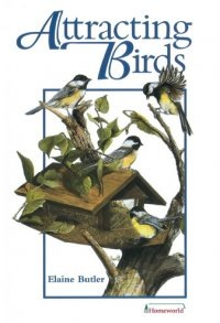 Attracting Birds