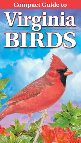 Compact Guide to Virginia Birds