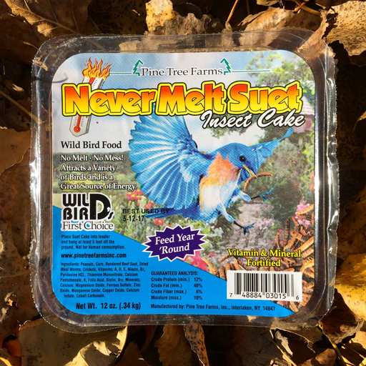 Never Melt Insect Suet Cake by Pine Tree Farms