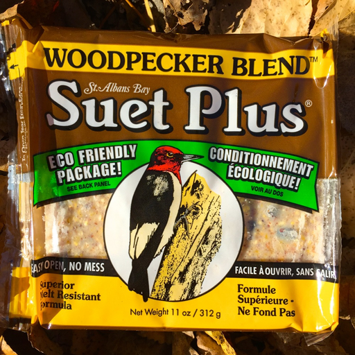 Suet Plus Woodpecker Blend 11oz Suet Cake