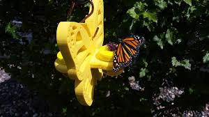 Nectar Dots Hanging Butterfly Feeder