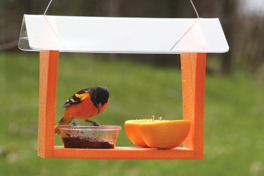 Green Solutions Oriole Feeder