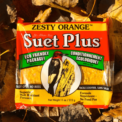 Suet Plus Zesty Orange Suet Cake by Wildlife Sciences