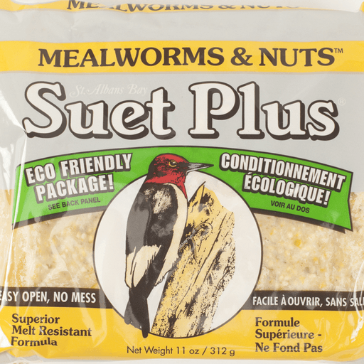 Suet Plus Mealworm & Nuts Suet Cakes by Wildlife Sciences