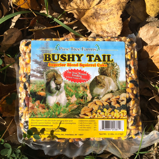 Pine Tree Farms 2.5lb Bushy Tail Squirrel Cake