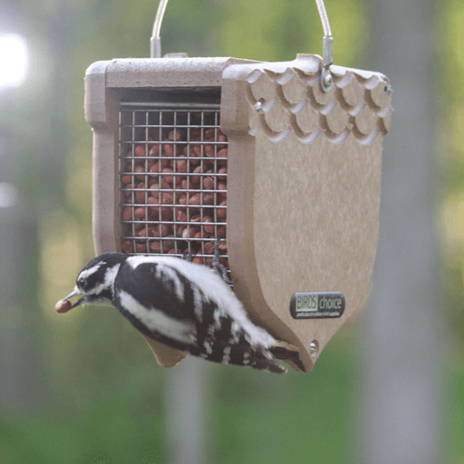 Bird's Choice Acorn Recyled Peanut Feeder - Taupe