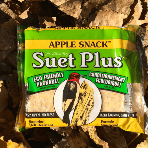Suet Plus Apple Snack Suet Cake by Wildlife Sciences