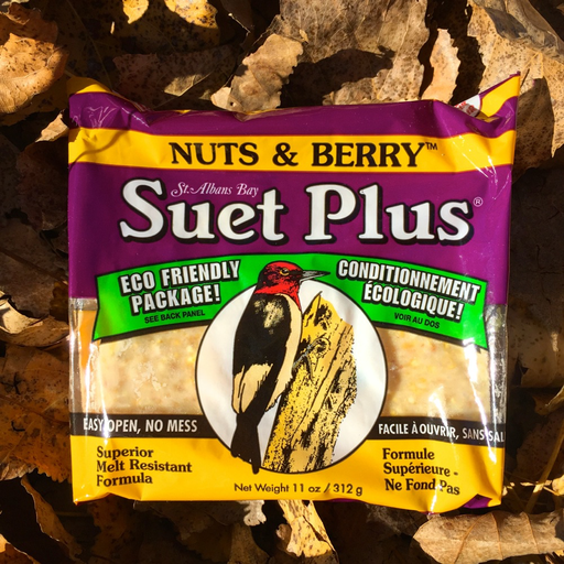 Suet Plus Nuts & Berry Suet Cake by Wildlife Sciences