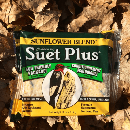 Suet Plus Sunflower Blend Suet Cake by Wildlife Sciences
