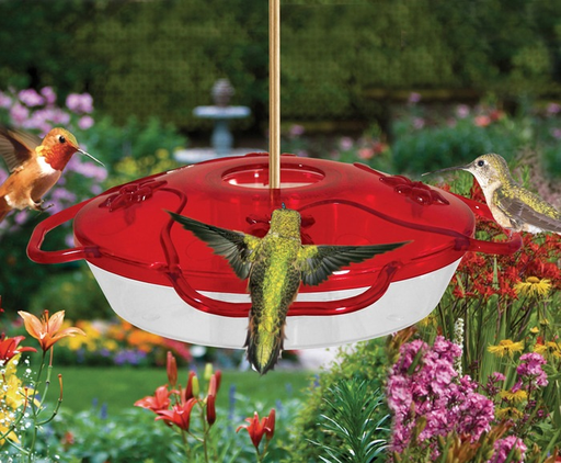 Droll Yankees Little Flyer-4 Hummingbird Feeder