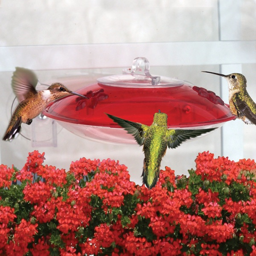 Droll Yankees Red Window Hummer-3 Hummingbird Feeder
