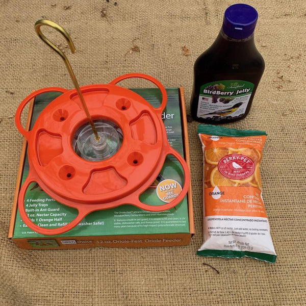 Oriole Feeding Starter Kit