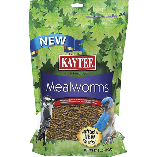 Kaytee 17.6oz Dried Mealworms