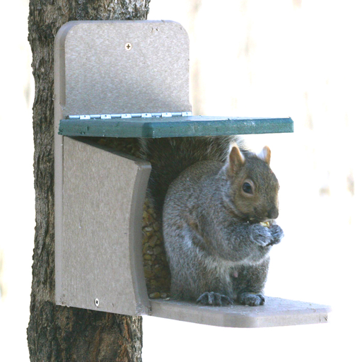 Bird's Choice Munch Box Recycled Squirrel Feeder