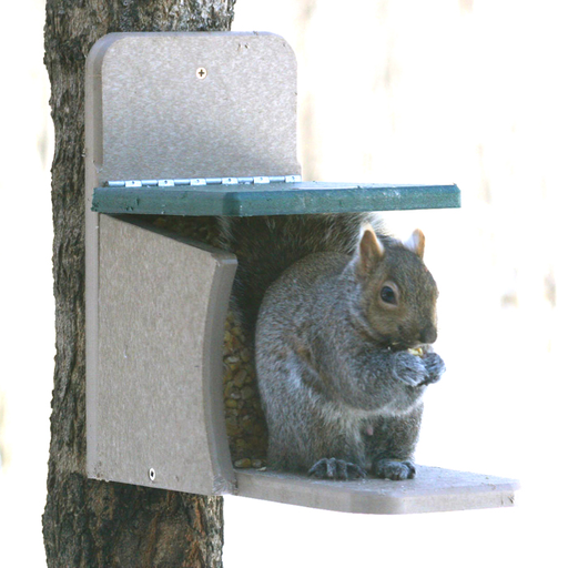 Get Your Squirrels Hooked: 6-Pack (12 Logs) Of SQUIRREL LOGS 608 Corn Flavor