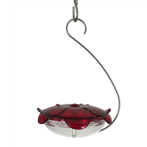 Droll Yankees Hanging Ruby Sipper - Clear