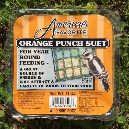 America's Favorite 11oz Orange Punch Suet Cake